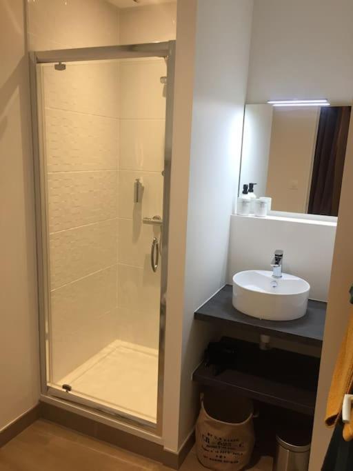 Appartement En Coeur De Ville Angers Ngoại thất bức ảnh